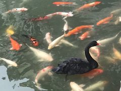 -茵特拉根酒店·西餐厅