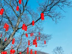 -南京老山国家森林公园