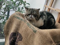 -参差咖啡(水果湖公园店)