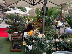 -山水茶艺馆·点心粤菜·30年老字号