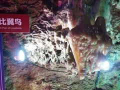 -泰安地下龙宫景区