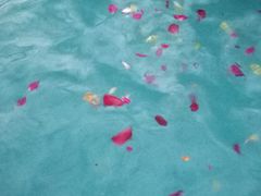 -天源吉布世温泉水乐园