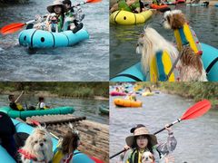 -楠溪江风景名胜区