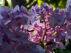 -常州古运河南大街文化旅游区-人民公园