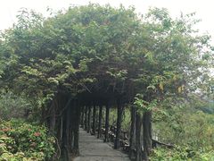 -丹樱生态园