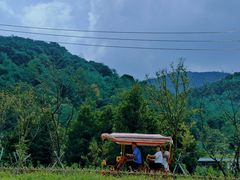 -北仑森林植物园