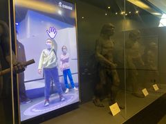 -北京周口店北京人遗址博物馆