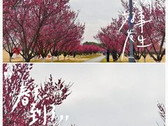 -长广溪湿地公园