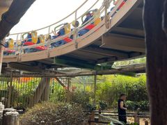 -珠海长隆海洋王国-鹦鹉过山车