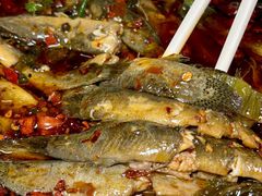 -情妹耙泥鳅·江湖川菜(科华店)