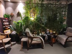 -施奈儿.洗头頭療.按摩SPA.采耳(上梅林店)