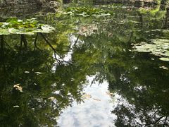 -秋霞圃