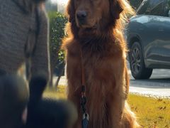 -杭州城北体育公园