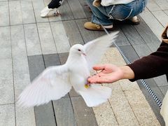 -中航城君尚购物中心