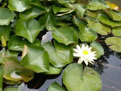 -陶祖圣境风景区