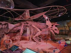 -正佳自然科学博物馆