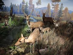 -陕西自然博物馆