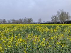 -汉长安城未央宫国家考古遗址公园