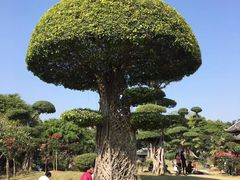 -南宁南湖公园