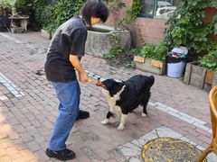 -哈尔滨北方国际青年旅舍(中央大街店)