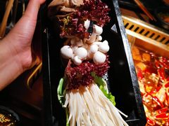 -九鼎轩脆毛肚火锅(三钢里店)