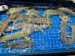 -醉壹号海鲜大排档(厦门美食地标店)