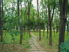 -将府公园