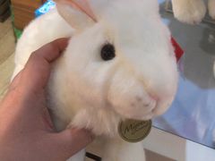 -雅米拉艺术中心(少儿舞蹈培训)