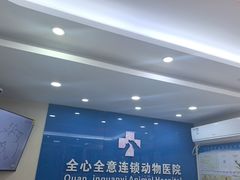 -全心全意连锁动物医院·微创中心·内科急重症·心脏专科(丰管路店)