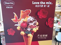 -哈根达斯(国瑞店)