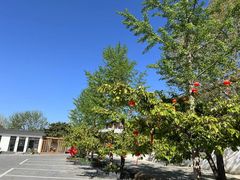 -丽泽山庄·生态怀柔菜·虹鳟鱼(红螺寺店)