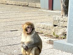 -颐而康·按摩·艾灸·足疗(南岸晶都店)