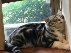 -咖法森林·咖啡  酒吧(天河店)