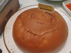 -大树餐厅(红旗街万达店)