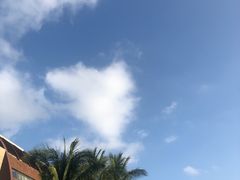 -三亚湾红树林度假世界(木棉酒店)