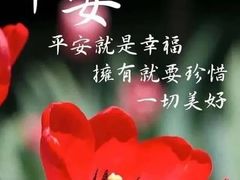 粽子-穆桂英美食·荣巷店