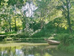 -西溪国家湿地公园