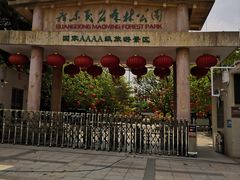 -广东茂名森林公园