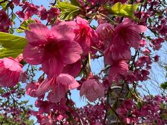 -霖公馆SPA·足道(普善路店)