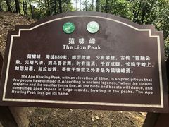 -缙云山景区