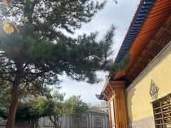 -东关清真大寺