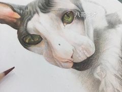 -八哥美术·成人美术画室(总校区)
