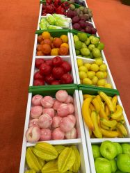 -莫莉幻想儿童乐园(长春迅驰广场店)