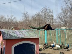 -水上乐园·欢乐世界