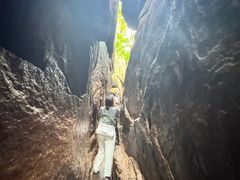 -鲁山国家森林公园