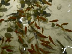 -香浙汇(望京店)