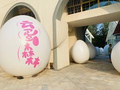 -大塘金香草谷