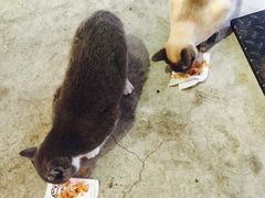 -MIKAKU(万达广场上海宝山店)