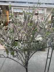 -马克叔叔的照相馆(东门店)