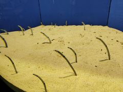 -上海海洋水族馆